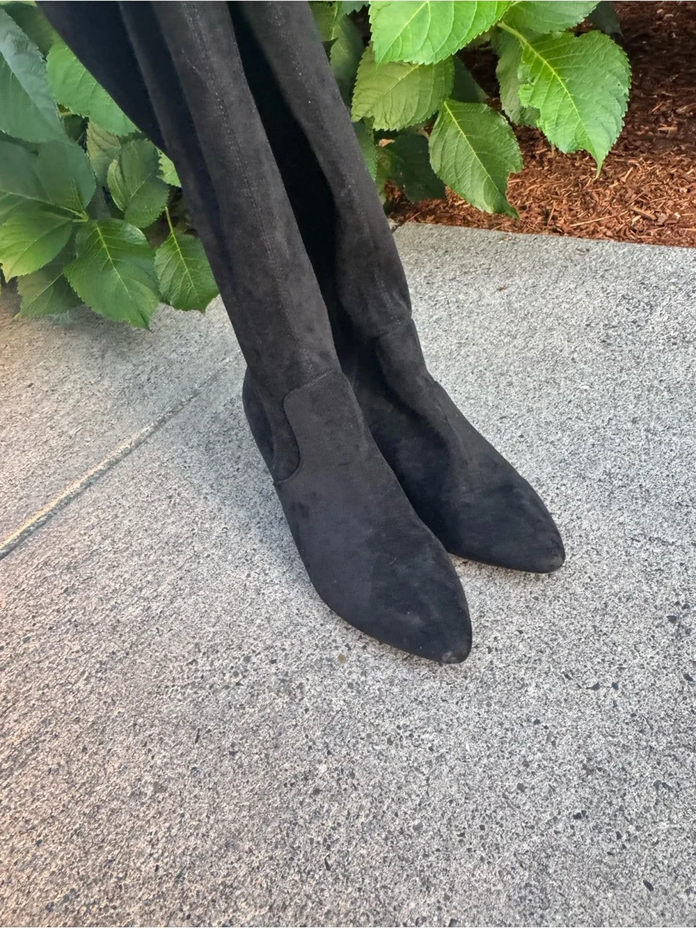Torrid black faux suede over-the-knee boots